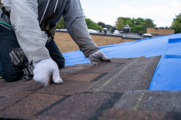 Best Roof Moss and Algae Removal  in Round Lake Heights, IL